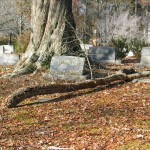 cemetery-5