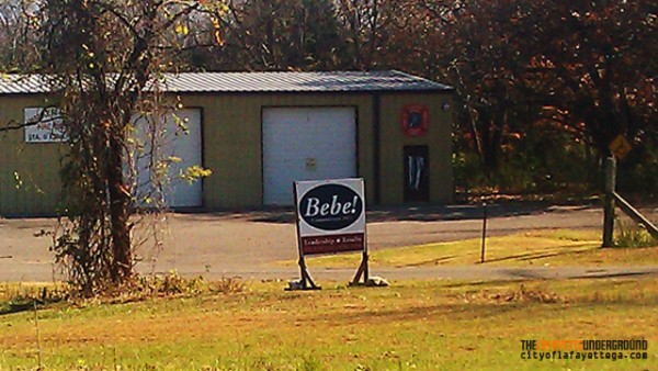 Bebe Sign in Kensington