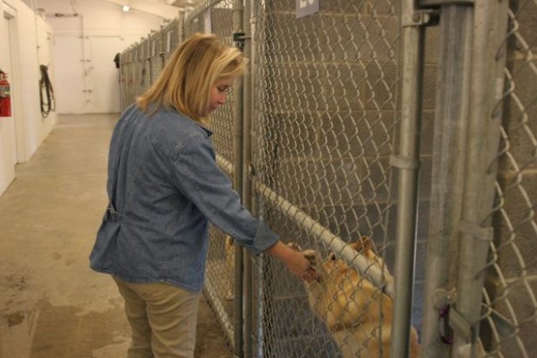 Walker Co Animal Shelter