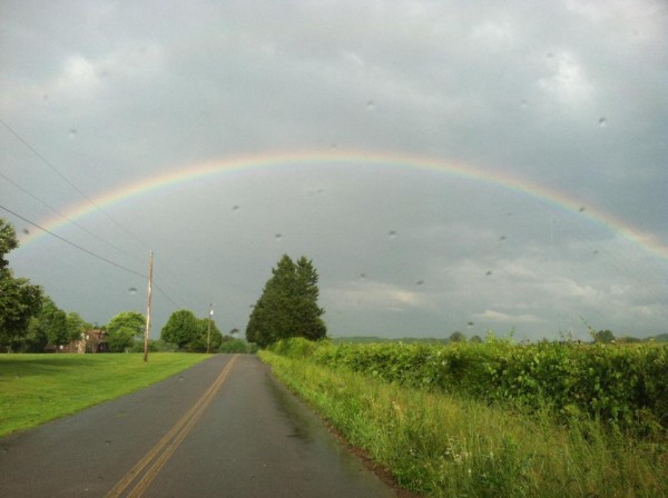 Center Post Rainbow