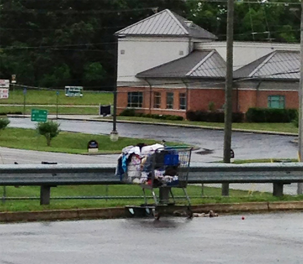 LaFayette Shopping Cart