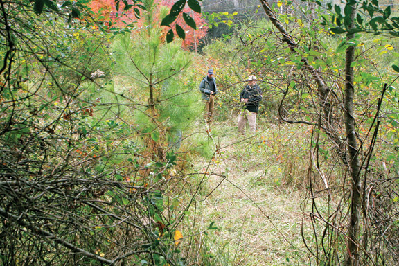 Hillsdale Rd Hunting Accident