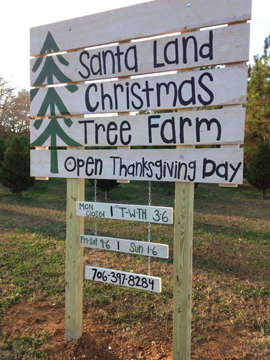 Santa Land Tree Farm