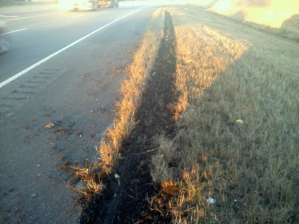 Skidmarks from Chattooga Bus 71