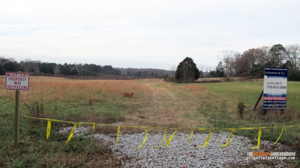 Swanson Farm December 2013