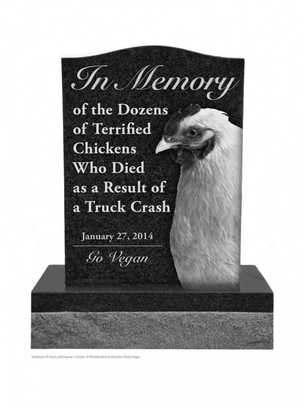 Proposed PETA Chicken Monument