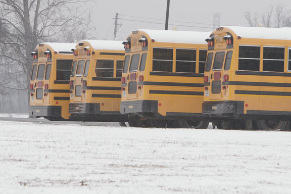 Snowy Walker Co Busses