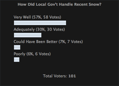 Survey Results - Snow Removal