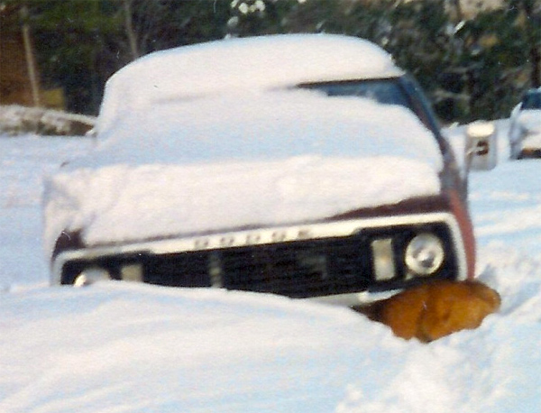 Blizzard of 1993 - Villanow Truck Under Snow