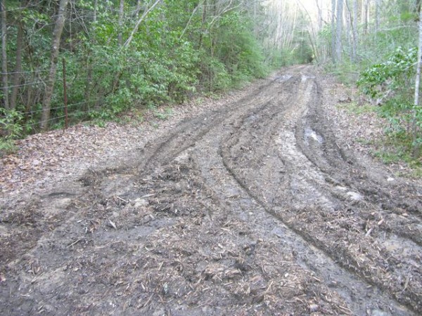 Lookout Mountain Walking Trail / Durham Railroad Bed