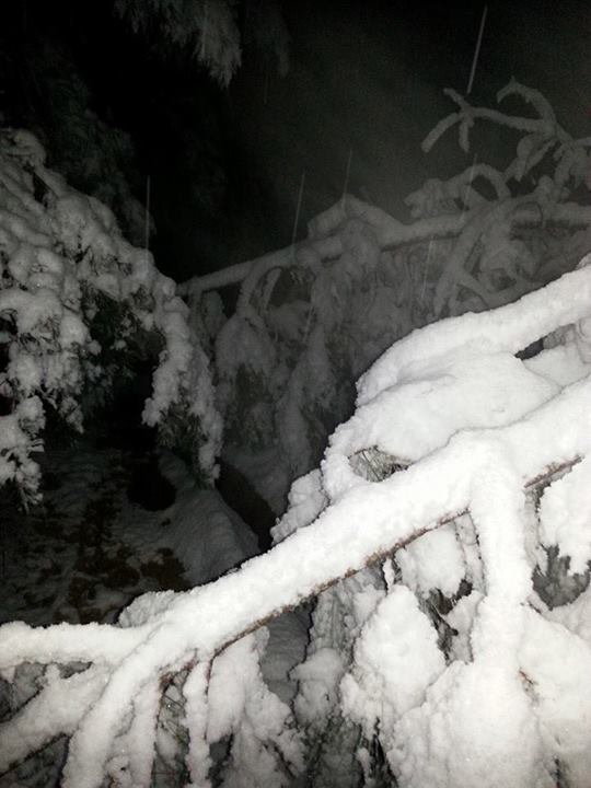 February Snow Blocks Driveway