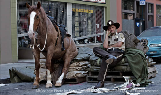 Horse on Walking Dead Set