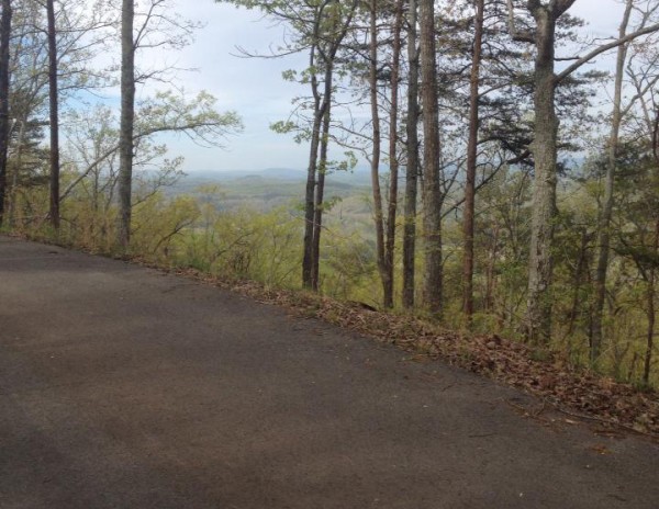 View from Smith Gap Rd.