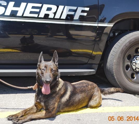 Walker County Sheriff's Office K9 Tanja