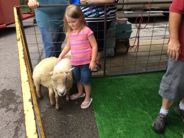 Library Petting Zoo