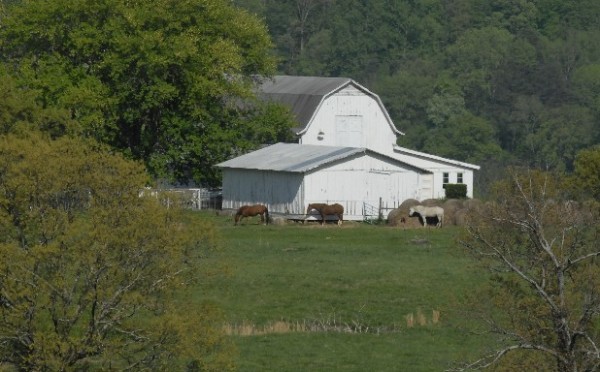 Mountain Cove Farms Barn