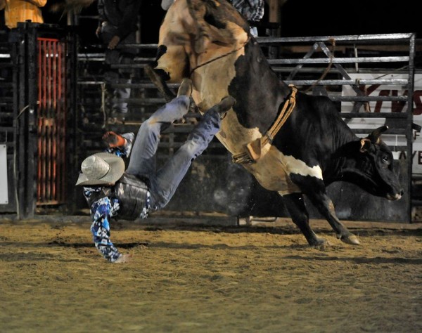 Kensington Rodeo