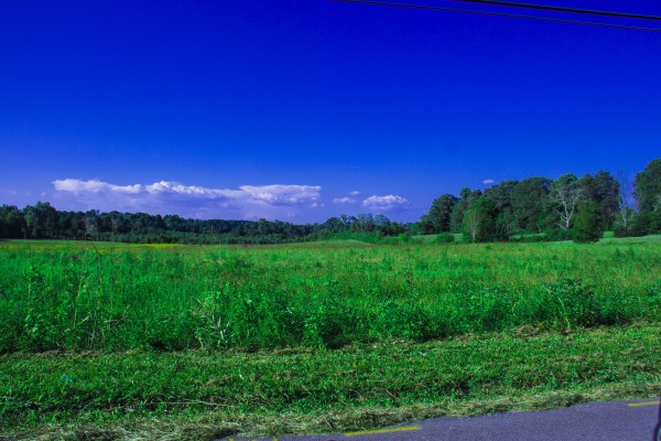 Swanson Farm Pre-Bulldozers