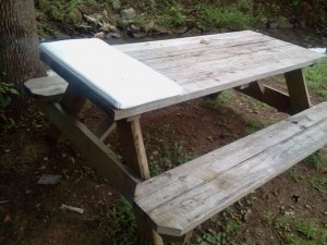 Caboose Park Picnic Table Bed