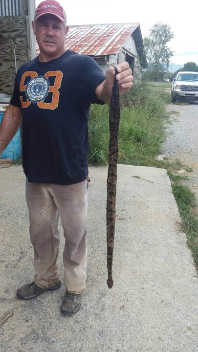 Rector Family Dead Rattlesnake