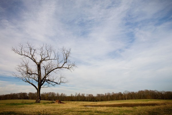 Roswell Georgia