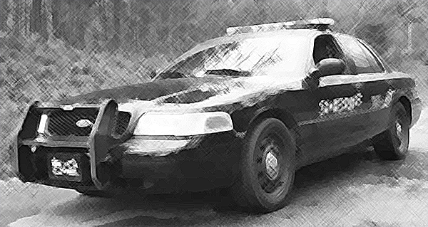 Walker County Sheriffs Patrol Car
