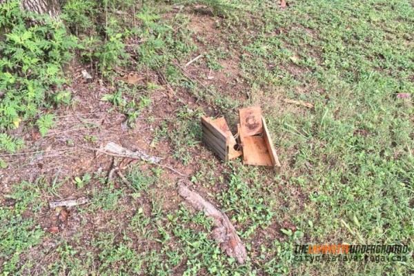 Recreation Trail Birdhouses Vandalized