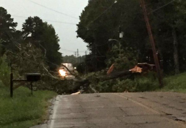 July 14 Storm / Tree Down on South Chattanooga St