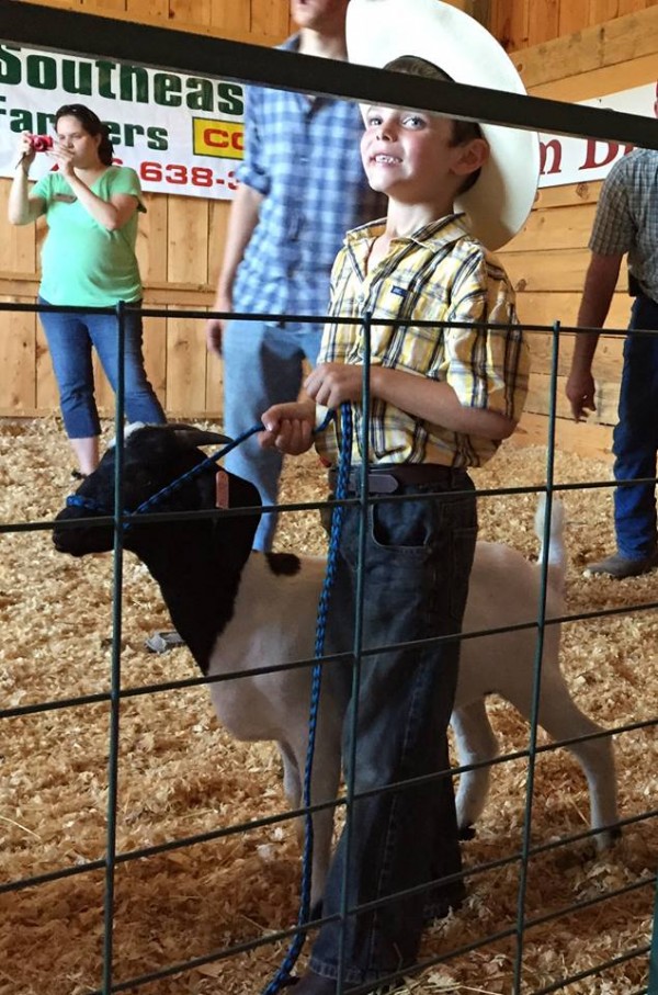 Mountain Cove Farms Fair / 4H Sheep Exhibit