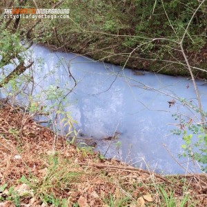 Barwick Fire - Chattooga River Pollution