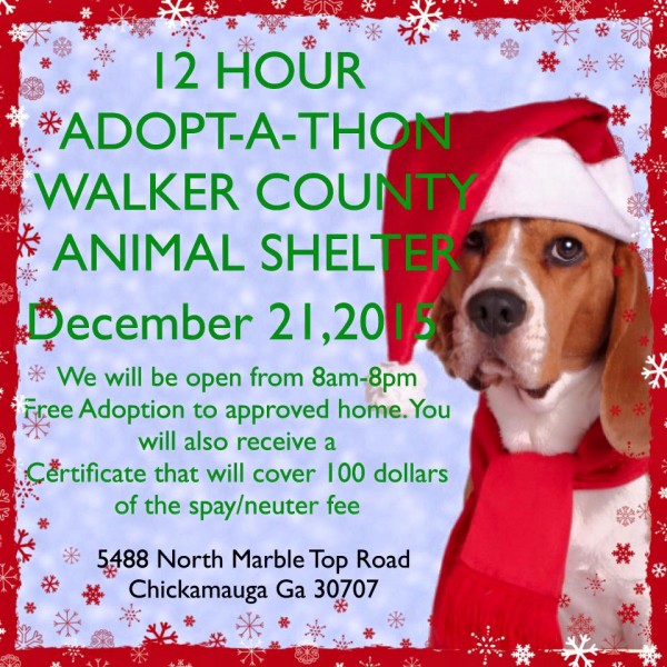 Walker Co Animal Shelter Adopt-A-Thon 2015