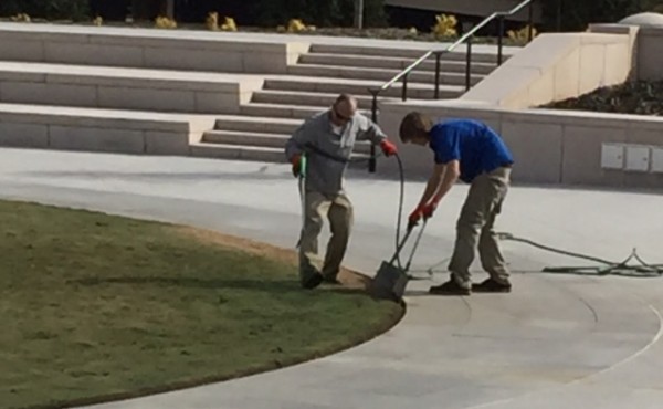 GA Capitol Grass Dyed Green / AJC - James Salzer