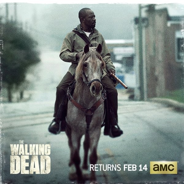 The Walking Dead / February 2016 Promo - Tommie Turvey Horse