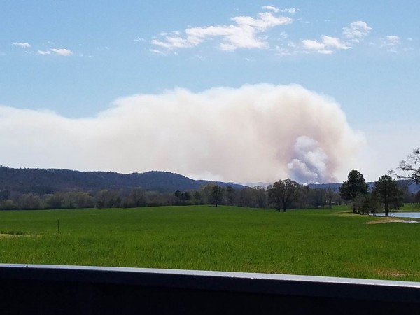 Villnow Area Controlled Burn