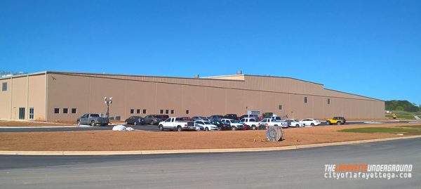 Audia Plant Front