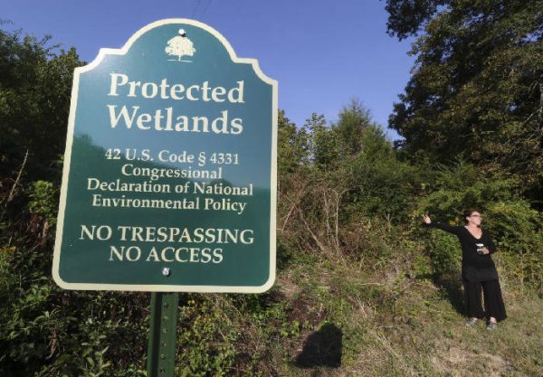 McLemore's Cove Protected Wetlands