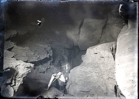 Picnooga Saved Walker County Cave Photo