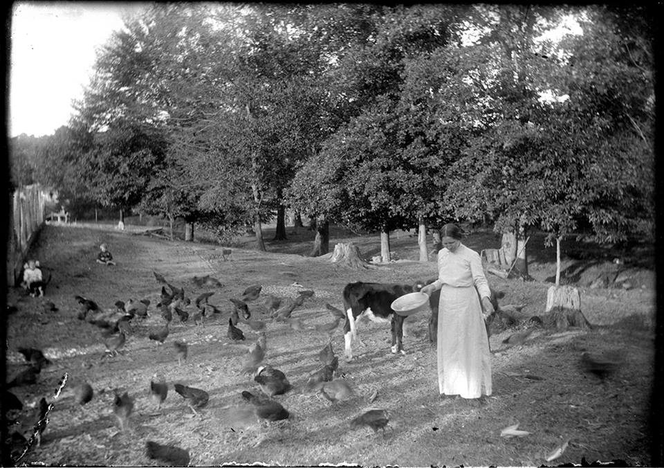 Picnooga / Walker County 1910's