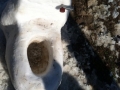 Snow "Toilet"