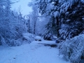 Snow in Noble