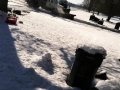 Front Yard Snow